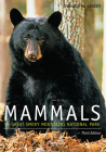 Mammals of Great Smoky Mountains National Park By Donald W. Linzey Cover Image