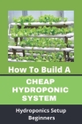How To Build A Cheap Hydroponic System: Hydroponics Setup Beginners: Compact Hydroponics By Meg Sensmeier Cover Image