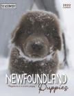 Newfoundland Puppies Calendar 2022: Gifts for Friends and Family with 18-month Monthly Calendar in 8.5x11 inch By Seasonsee Publishing Cover Image