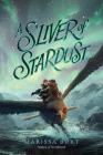 A Sliver of Stardust By Marissa Burt Cover Image
