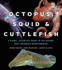 Octopus, Squid, and Cuttlefish: A Visual, Scientific Guide to the Oceans’ Most Advanced Invertebrates By Roger Hanlon, Mike Vecchione, Louise Allcock Cover Image