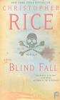 Blind Fall: A Novel By Christopher Rice Cover Image