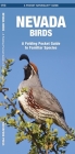 Nevada Birds: A Folding Pocket Guide to Familiar Species Cover Image