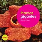 Plantas Gigantes (Etapa a / Las Plantas) Cover Image