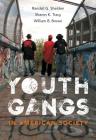 Youth Gangs in American Society Cover Image