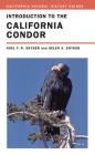 Introduction to the California Condor (California Natural History Guides #81) Cover Image