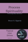 Process Spirituality: Practicing Holy Adventure (Topical Line Drives #28) By Bruce G. Epperly Cover Image