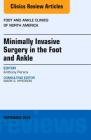 Minimally Invasive Surgery in Foot and Ankle, an Issue of Foot and Ankle Clinics of North America: Volume 21-3 (Clinics: Orthopedics #21) Cover Image