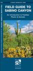 Sabino Canyon, Field Guide to: Pocket Naturalist Guide (Pocket Naturalist Guides) Cover Image