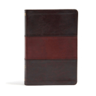 NIV Rainbow Study Bible, Saddle Brown LeatherTouch Indexed Cover Image