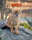 Dhole: Amazing Facts about Dhole Cover Image