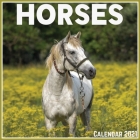 Horses Calendar 2021: Official Horses Calendar 2021, 12 Months By Print Art Factory Cover Image