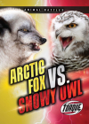 Arctic Fox vs. Snowy Owl By Nathan Sommer Cover Image