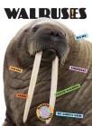 Walruses (X-Books: Marine Mammals) By Ashley Gish Cover Image