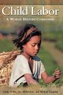 Child Labor: A World History Companion (World History Companions) By Sandy Hobbs, Jim McKechnie, Michael Lavalette Cover Image