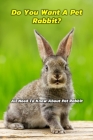 Do You Want A Pet Rabbit: All Need To Know About Pet Rabbit: Gift Ideas for Holiday By Tilithia Allen Cover Image