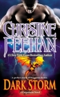 Dark Storm (Carpathian Novel, A #23) By Christine Feehan Cover Image