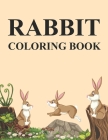 Rabbit Coloring Book: Rabbit Coloring Book For Toddlers By Azizul Press Cover Image