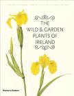 The Wild and Garden Plants of Ireland By E. Charles Nelson, Wendy F. Walsh (Illustrator) Cover Image