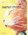 The Healer Cat (Hebrew ): Hebrew Edition of The Healer Cat By Tuula Pere, Klaudia Bezak (Illustrator), Einat Cooper (Translator) Cover Image