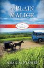 A Plain Malice (Appleseed Creek Mystery #4) Cover Image