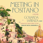 Meeting in Positano By Goliarda Sapienza, Brian Robert Moore (Contribution by), Nicol Zanzarella (Read by) Cover Image