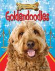 Goldendoodles (Designer Dogs) By Ruth Owen Cover Image