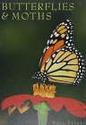 Butterflies & Moths (Exploring Nature) Cover Image