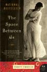 The Space Between Us: A Novel By Thrity Umrigar Cover Image