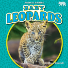 Baby Leopards By Jenna Grodzicki Cover Image