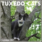 Tuxedo Cats Calendar 2021: Official Tuxedo Cats Calendar 2021, 12 Months By Digi Art Print Cover Image
