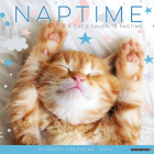 Naptime (Cats) 2024 12 X 12 Wall Calendar By Willow Creek Press Cover Image