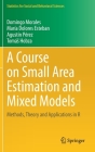A Course on Small Area Estimation and Mixed Models: Methods, Theory and Applications in R (Statistics for Social and Behavioral Sciences) By Domingo Morales, María Dolores Esteban, Agustín Pérez Cover Image