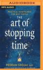 The Art of Stopping Time: Practical Mindfulness for Busy People By Pedram Shojai, Pedram Shojai (Read by) Cover Image