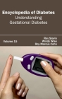 Encyclopedia of Diabetes: Volume 15 (Understanding Gestational Diabetes) By Rex Slavin (Editor), Windy Wise (Editor) Cover Image