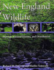 New England Wildlife: Habitat, Natural History, and Distribution By Richard M. DeGraaf, Mariko Yamasaki Cover Image