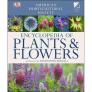 American Horticultural Society Encyclopedia of Plants and Flowers Cover Image