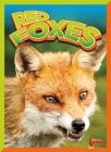 Red Foxes (Wild Animal Kingdom) By Gail Terp Cover Image