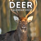 Deer Calendar 2022: 16-Month Calendar, Cute Gift Idea For Deer Lovers Women & Men By Difficult Potato Press Cover Image