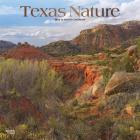 Texas Nature 2020 Square Foil Cover Image