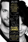 The Silver Linings Playbook: A Novel Cover Image