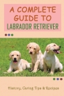 A Complete Guide To Labrador Retriever: History, Caring Tips & Recipes: Are Labradors Easy To Take Care Of? Cover Image
