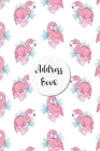 Address Book: Pink Flamingo Design - Keep Your Important Contacts in The One Organizer Name, Addresses, Email, Phone Numbers, Birthd By Smart Life Publisher Cover Image