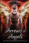 Arrows & Angels By Kristin D. Van Risseghem Cover Image