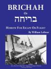 Brichah: (Hebrew for Escape or Flight) By William Leibner, Phyllis Oster (Editor) Cover Image