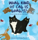 What Kind of Cat is That?!?: A Day in the Life of Jojo Bynx By Jennine Crawford Cover Image