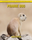 Prairie Dog: Fascinating Facts and Photos about These Amazing & Unique Animals for Kids By Ashley Suter Cover Image