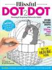 Blissful Dot2Dot: Stunning & Surprising Patterns for Adults By Centennial Cover Image