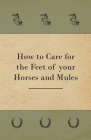 How to Care for the Feet of your Horses and Mules Cover Image