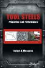Tool Steels: Properties and Performance By Rafael A. Mesquita (Editor) Cover Image